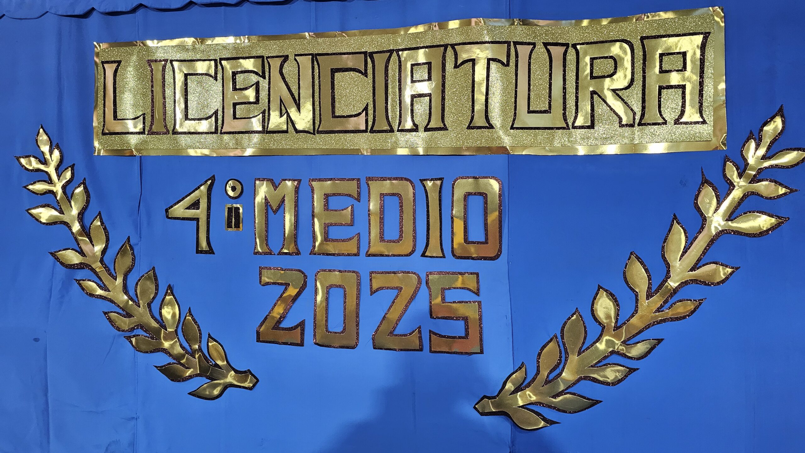 Licenciatura 4° MEDIO 2025